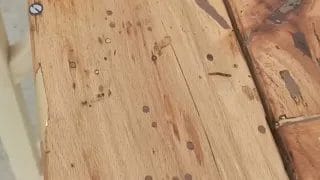 mq2 - Video galerija - 12